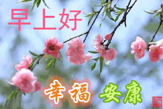 壁纸 花 桌面 330_220 gif 动态图 动图
