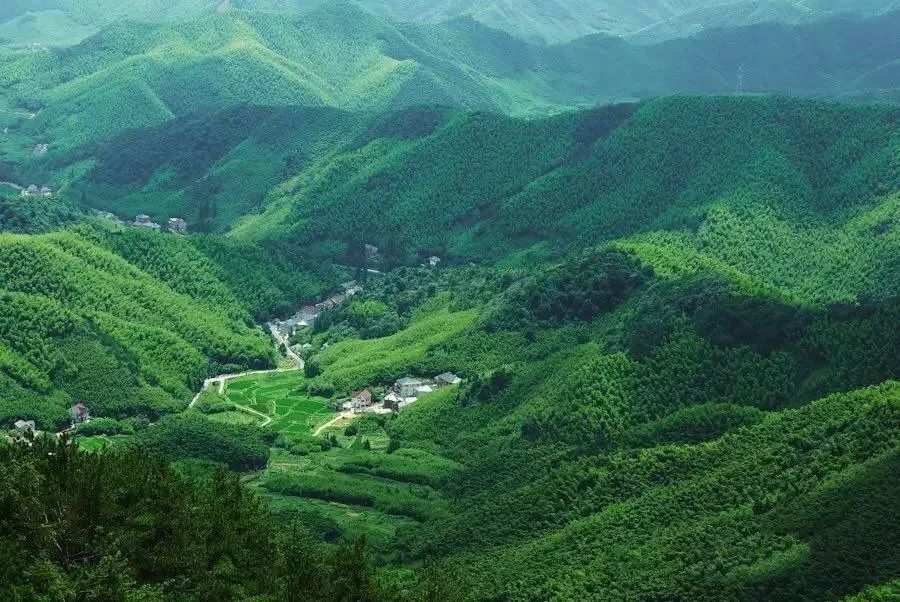 莫干山山峦连绵起伏,风景秀丽多姿.