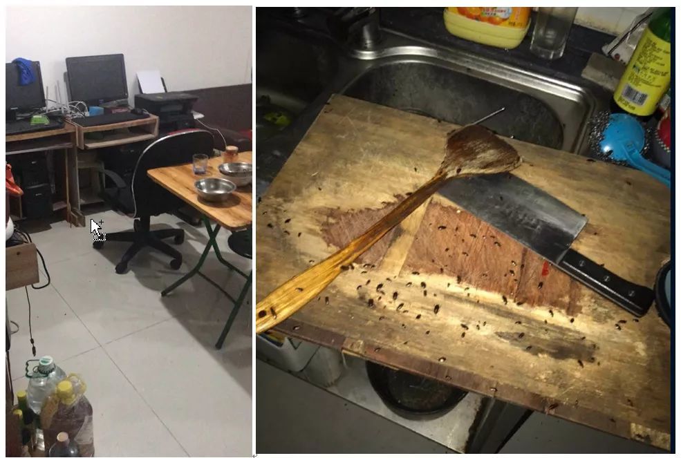 附录3,屋内的电脑,厨房,地上的黑点其实是蟑螂,视频里会动