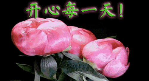 壁纸 花 桌面 500_272 gif 动态图 动图
