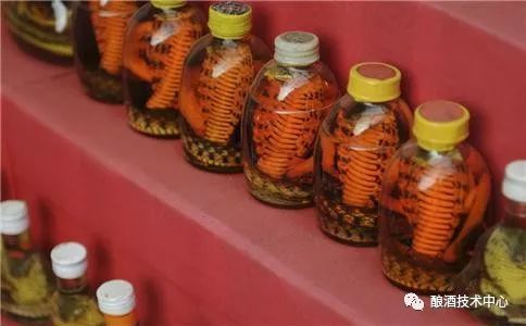 蛇酒养生的神奇功效和泡制方法