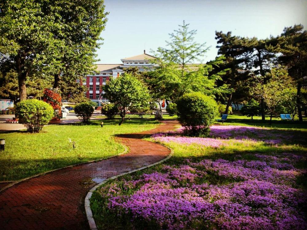 高校风光之沈阳药科大学