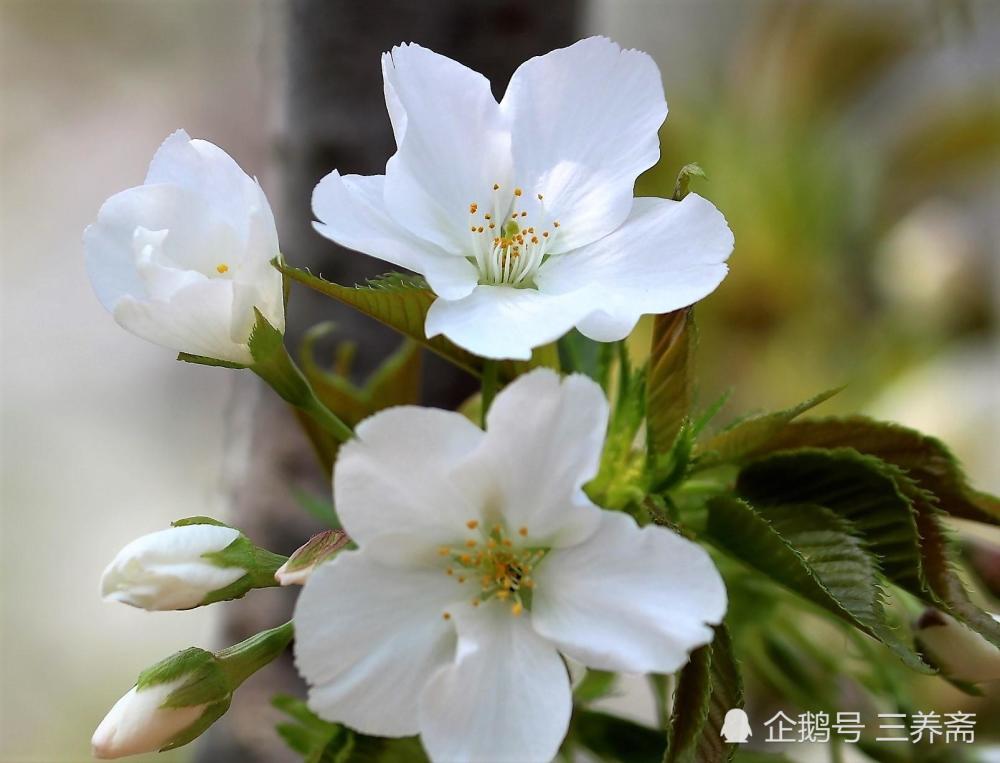 无论什么时候,学习都有好处--师旷论学带给我们