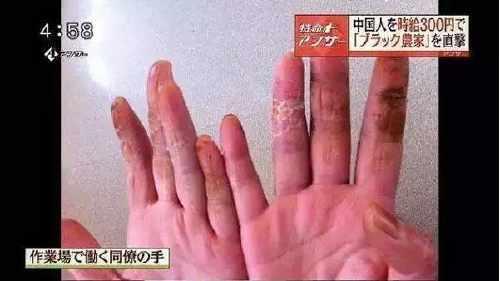 企鹅娘吐槽：日本文化最吸引你的地方是什么呢？