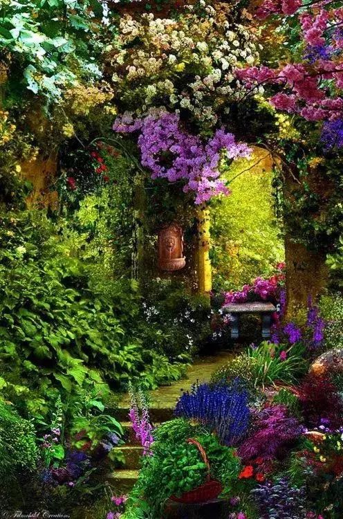 开满鲜花的庭院小径,让花园美不胜收!
