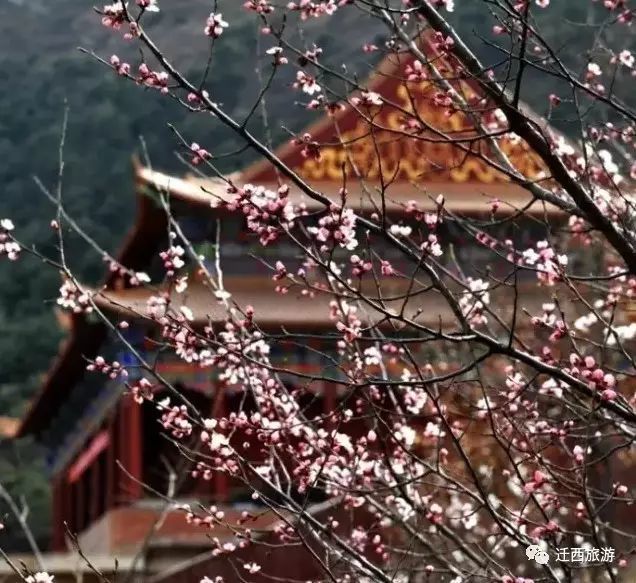 凤凰山民俗传统文化节来了！ 