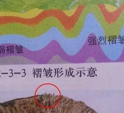 企鹅娘吐槽:你能接受一个不喜欢动漫的女朋友吗?