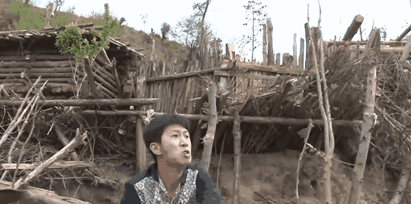 饿死……真香:表情包少年王境泽