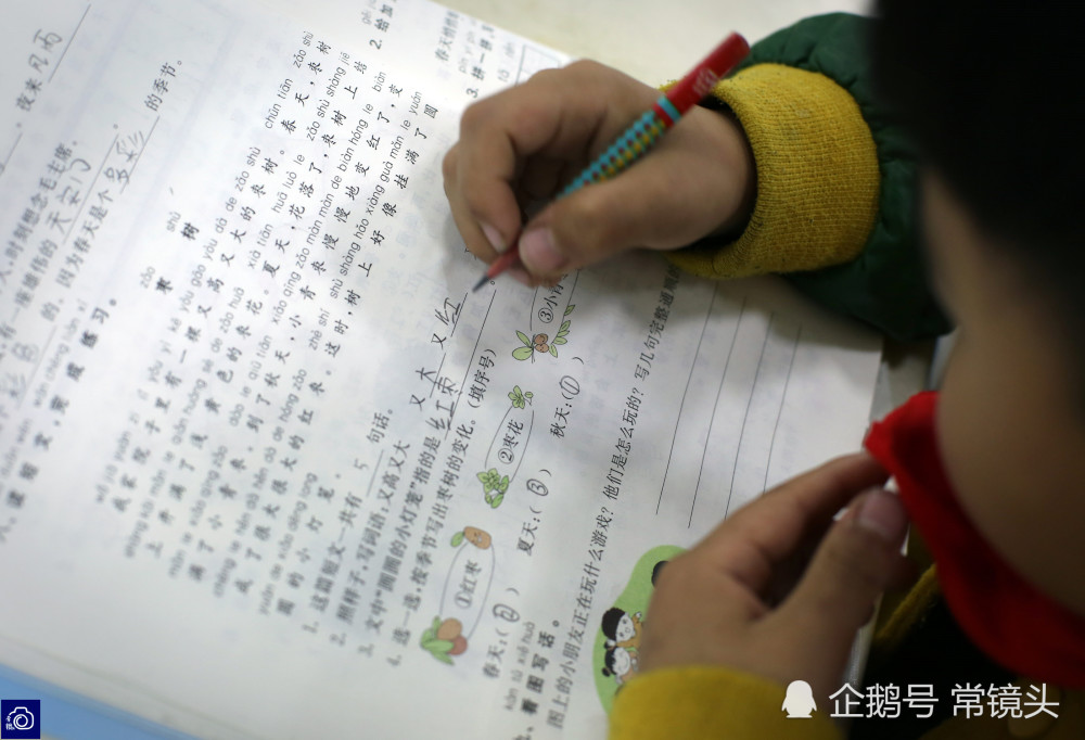 郑州小学生带娃写作业走红:每天等妈妈4小时