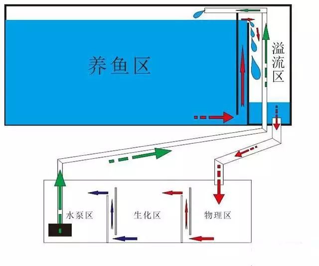 鱼缸捕鼠什么原理_鱼缸造景(2)