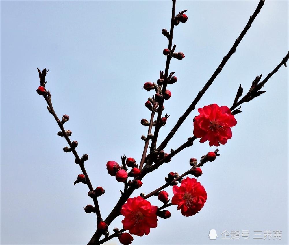 无论什么时候,学习都有好处--师旷论学带给我们