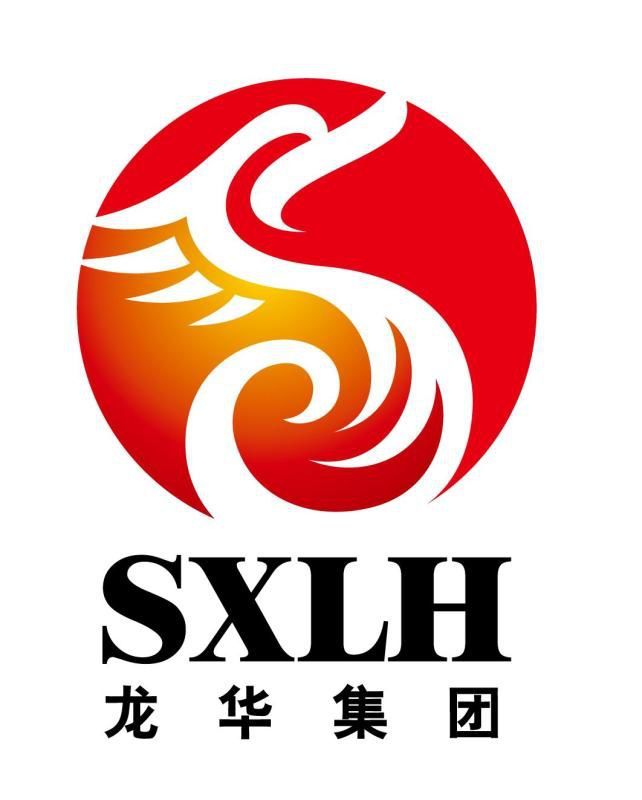 陕西龙华煤焦电集团有限责任公司logo