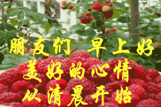 2019早上好唯美祝福加闪动图片带字,清晨问候早安祝福动态表情图片