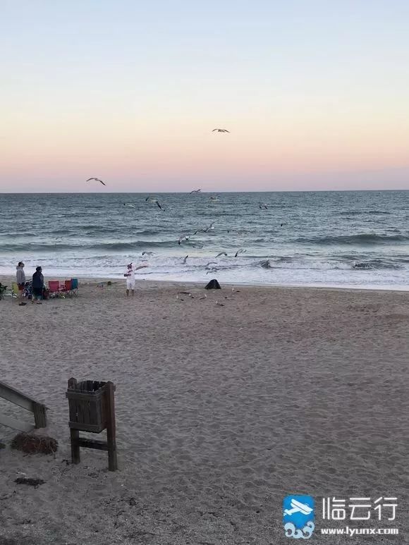 【飞行社区】想了解飞安航校(FlightSafety Aca