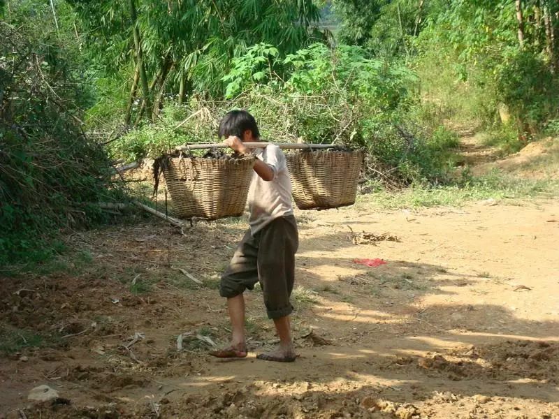 我是个乡下人,我住在广元农村,这些农活你干过几样