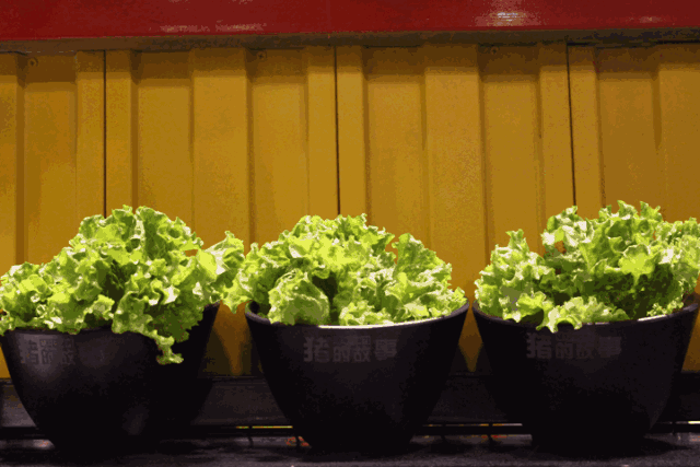 Https Encrypted Tbn0 Gstatic Com Images Q Tbn 3aand9gcsyljjsqenev6mbvynhyjaanwj95goremi4ba Usqp Cau