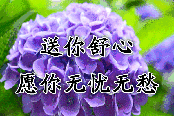 今日夏至,太美太漂亮了,送给群里的每一位朋友!