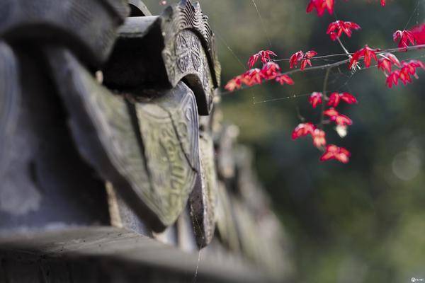 真的只是基准吗?索尼A7M3使用三周体验报告