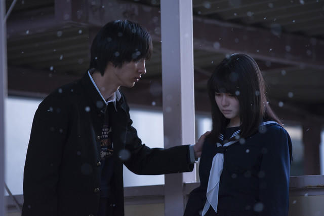《三角草的春天》即将上映 新剧照公布
