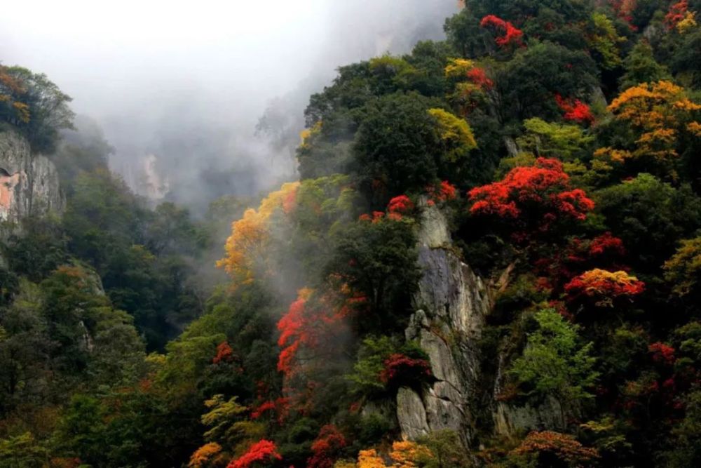 青川县,广元,文化和旅游部,旅游景区