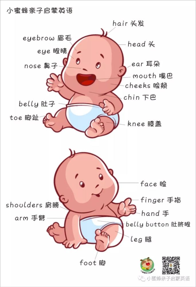 身体部位认知儿歌head shoulders knees and toes