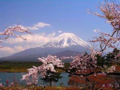 2019日本关西语言学校学费多少 看点快报