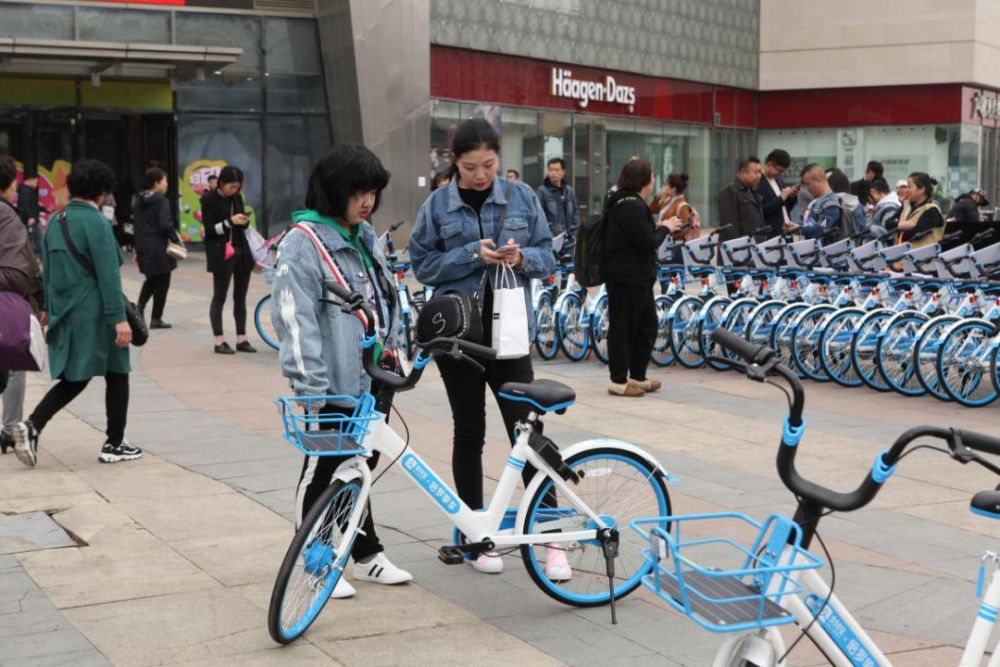 哈罗单车席卷沈阳,共享单车超高人气蓝朋友强