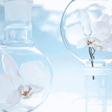浪漫花季以花养颜,get这些护肤品让你貌美如花(下)