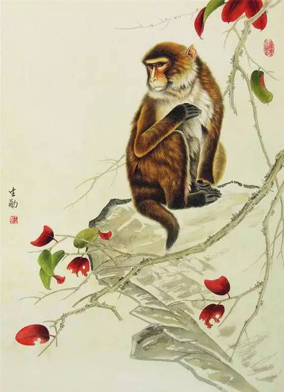 惟妙惟肖的工笔猴画,太逼真了