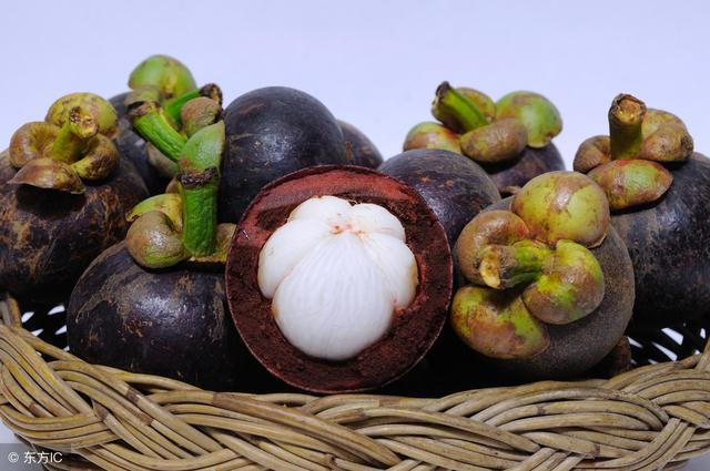 山竹为什么这么贵,有什么营养价值?生命人不能