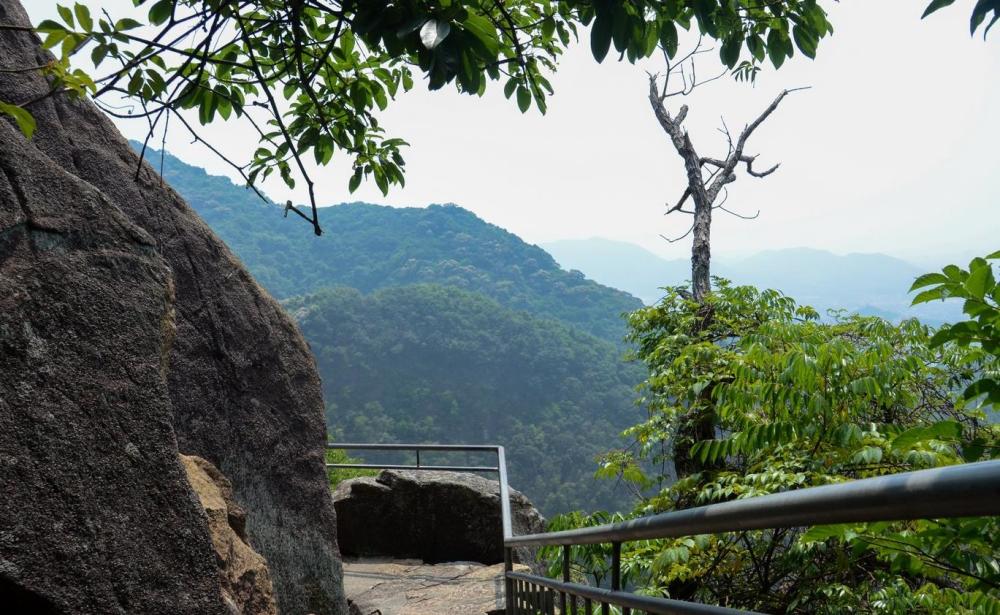 旅游风光 深圳园山风景区 被誉为 都市的后花园 看点快报