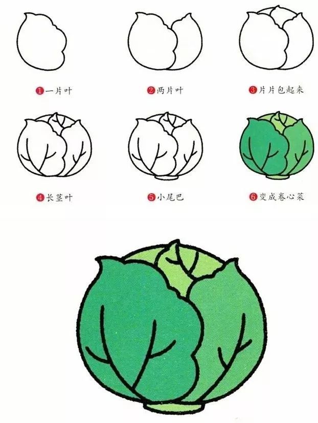 9种蔬菜简笔画