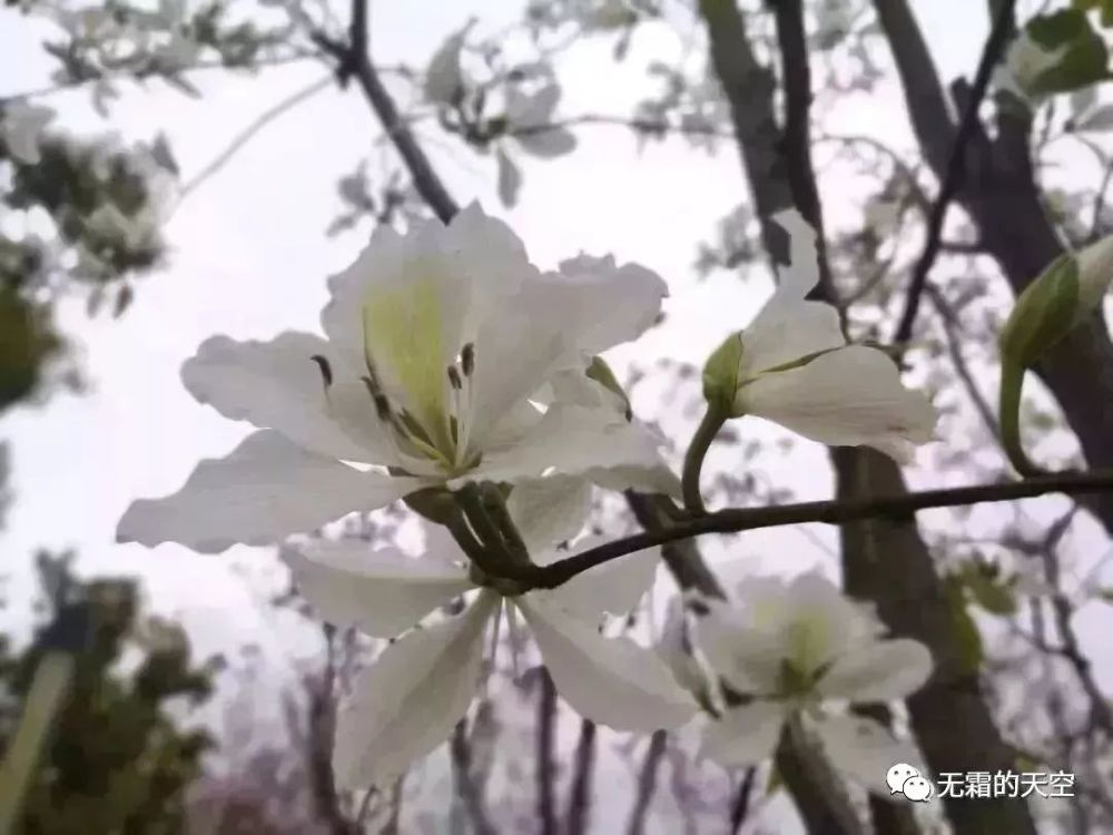 戏品《中庸》之慎独