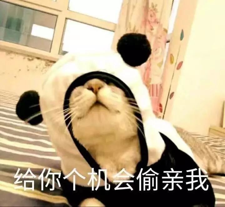 半夜笑出猪叫 还没敢把下图发给任何人,撩完就跑是不负责任的 掉粉的