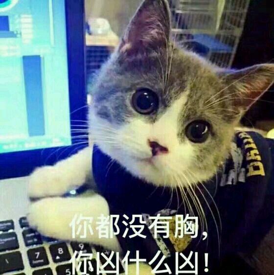 猫咪表情包,斗图专用!