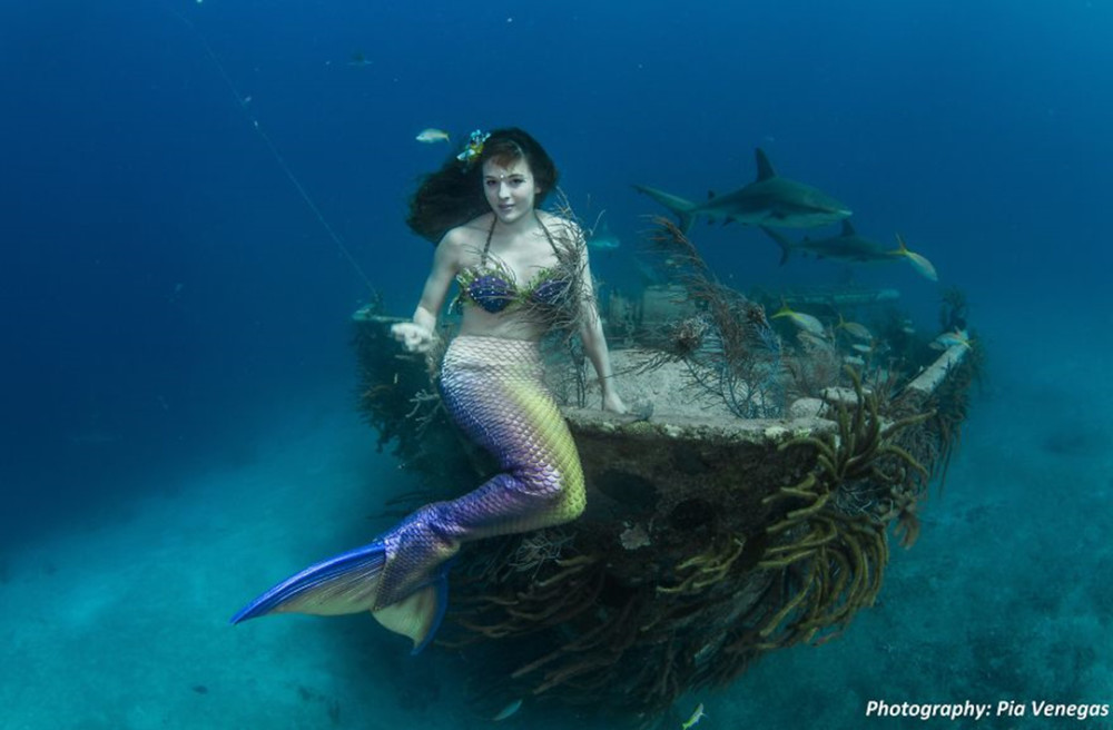 姑娘化身美人鱼潜入海洋与鲨鱼合影 为保护海洋发声