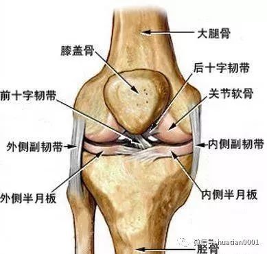 阿是穴的准确位置+图