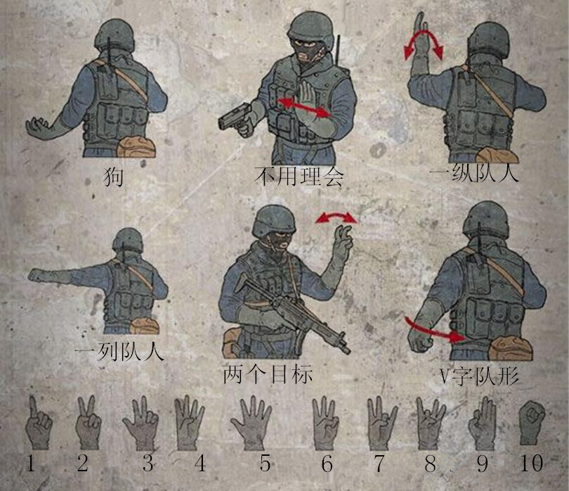 美军特战部队通用战术手势,你能看懂几个,数字手势差别好大啊