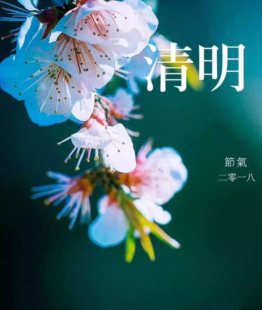 清明:清明时节雨纷纷,听风听雨思故人
