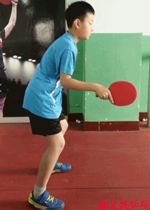 袁义兴乒乓-基层教练员工作手册