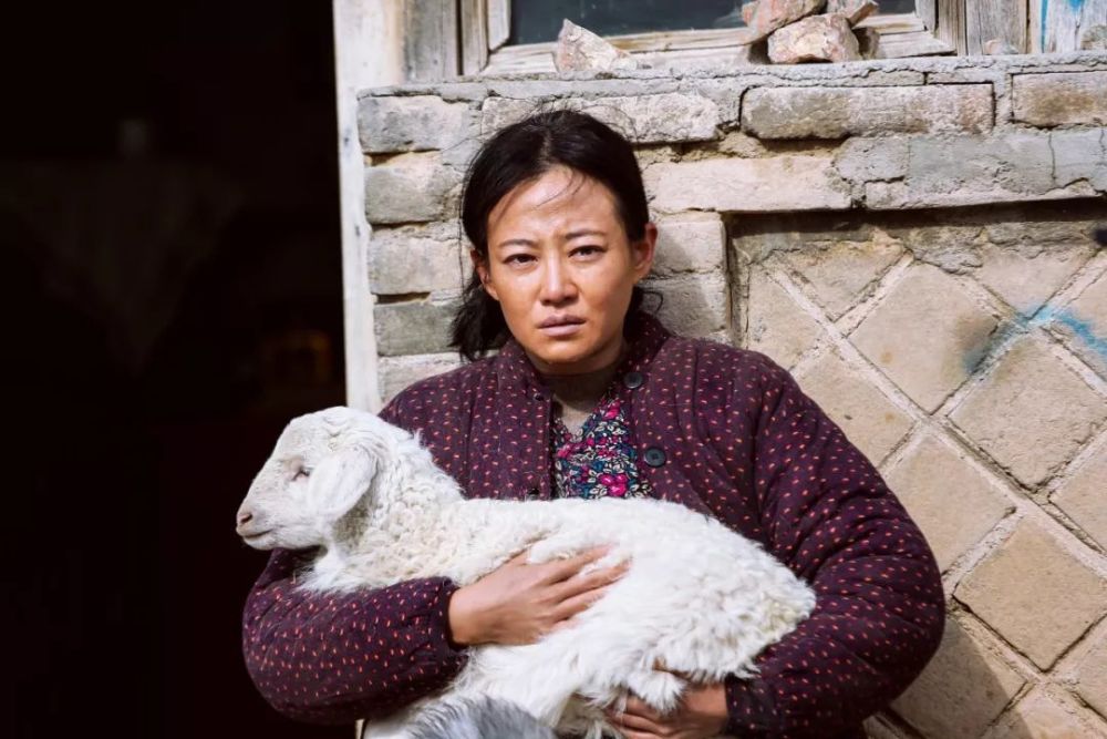 王传君金世佳火了,浑身是戏的她们也必须火