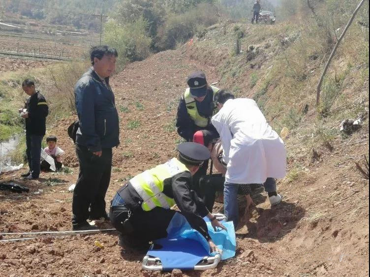 武定有多少人口_武定,我不走了(2)