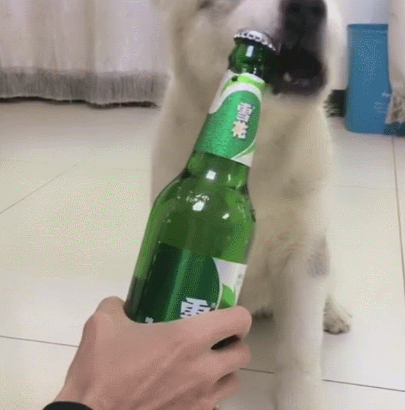 583_591gif 动态图 动图
