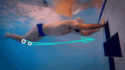 动物 海底 海底世界 海洋馆 水族馆 鱼 鱼类 420_236 gif 动态图 动图