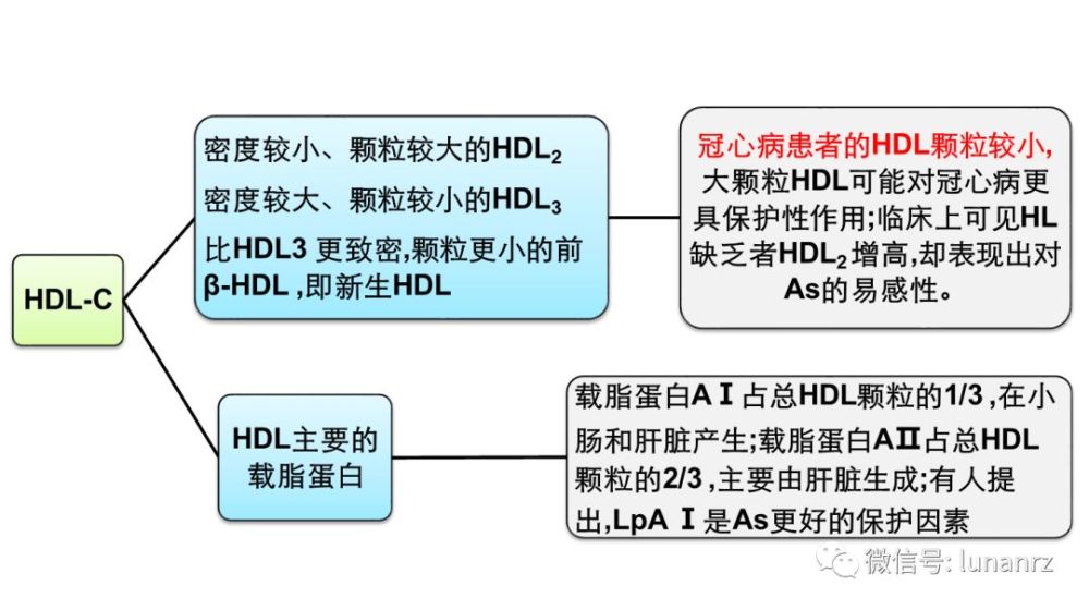为什么现在调血脂治疗不再强调升高hdl C 看点快报