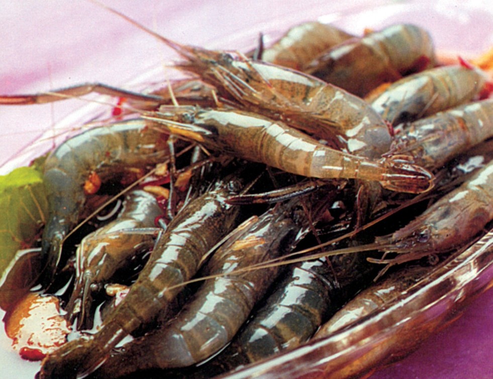 海虾的主要品种是白虾,河虾的主要品种则是青虾,它们都是长臂虾科的