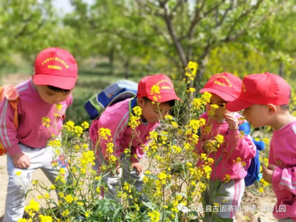新乡县古固寨小博士幼儿园-踏青-放风筝-赏花-寻找春姐姐留下的足迹