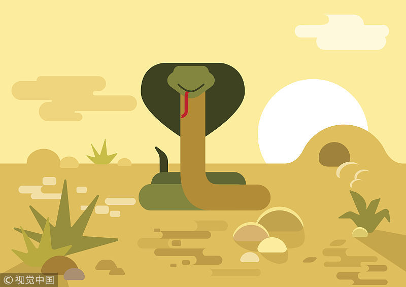 好事连连,2018年添丁之喜得生肖人!