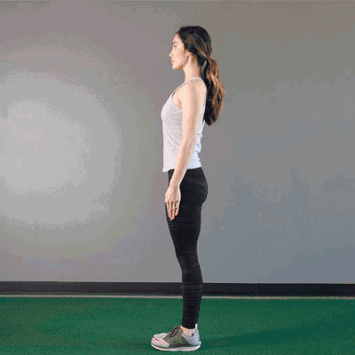 减肥达人 亲授各种健身视频,gif动图, 免费 分享 新手健身计划,科学