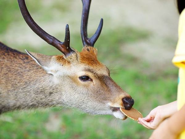 ²ۣʲôԭձ¹ϲҧйˣ